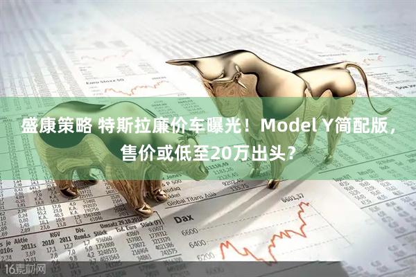 盛康策略 特斯拉廉价车曝光！Model Y简配版，售价或低至20万出头？