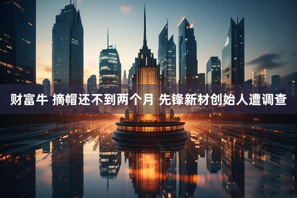 财富牛 摘帽还不到两个月 先锋新材创始人遭调查